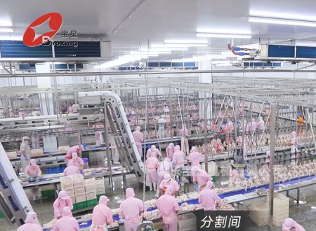 山東弘順食品有限公司肉制品一體化深加工項目